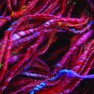 Шерсть мериносовая: Маджента, 500 гр. - Арт-пряжа ручного прядения.